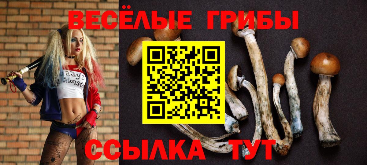 Псилоцибиновые грибы ЛСД Нижний Тагил
